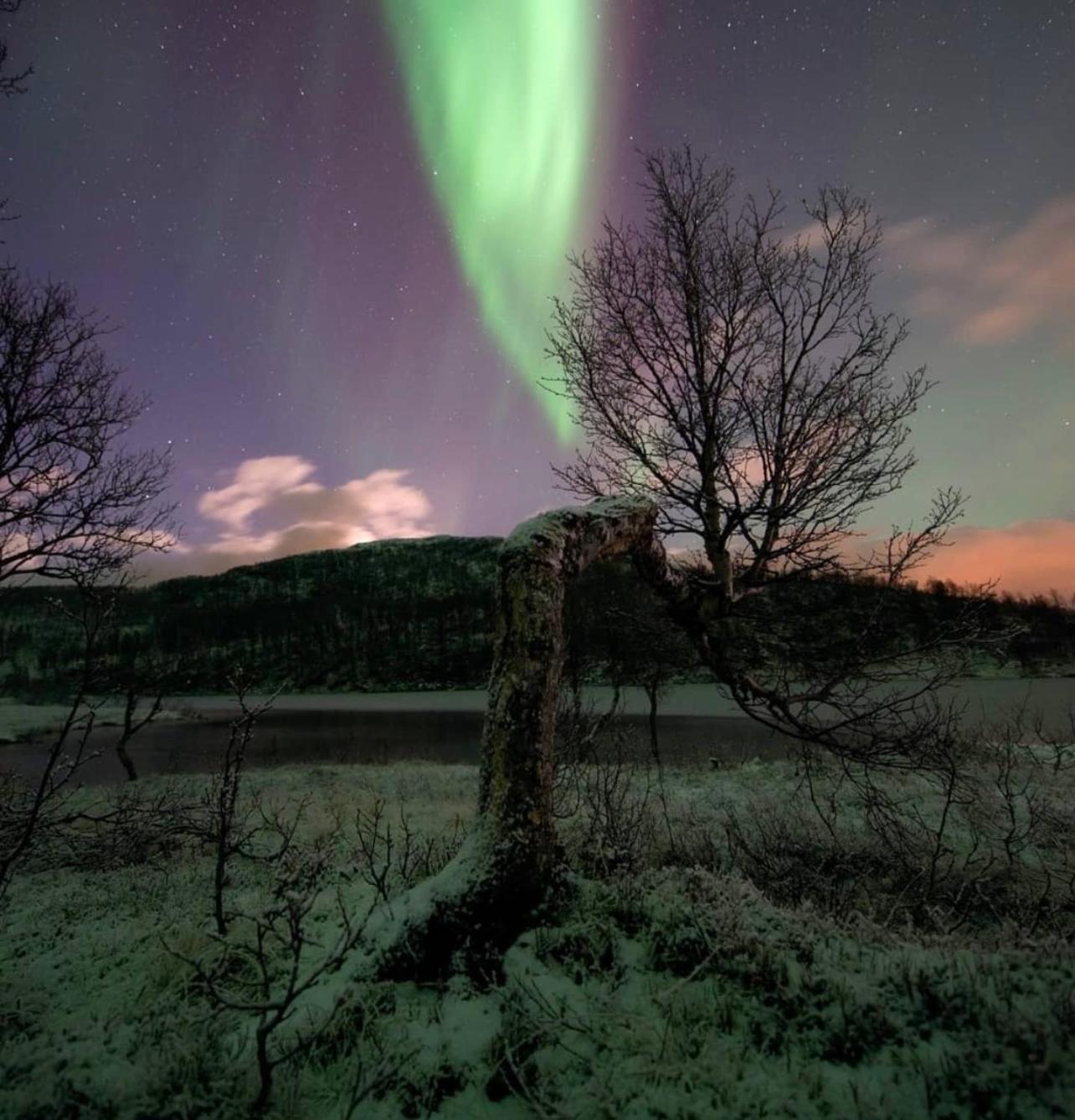Harstad, All Seasons المظهر الخارجي الصورة